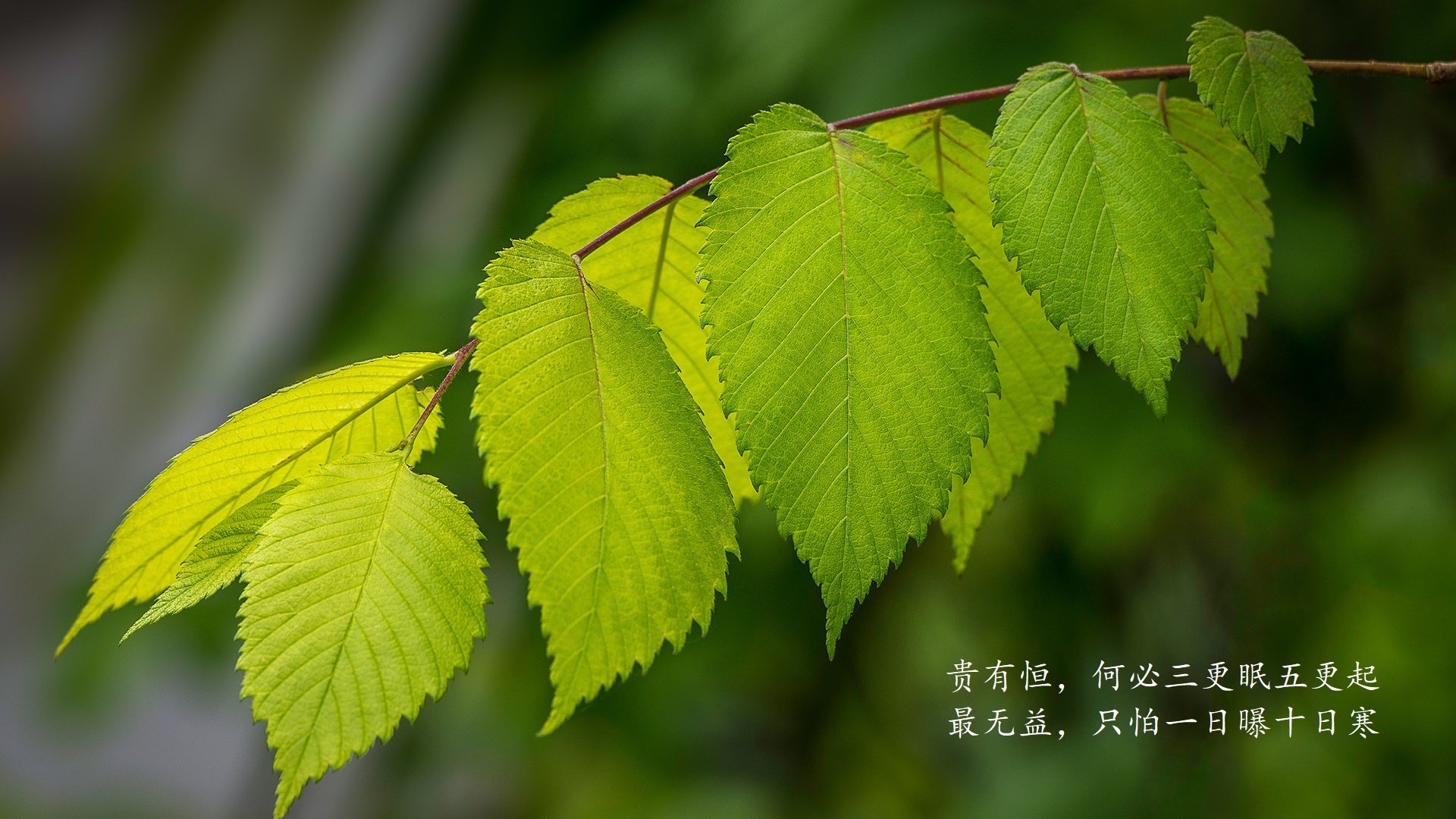 随机比赛悬念：谁会成为本轮最大黑马？，比赛悬念_谁会成为本轮最大黑马奖