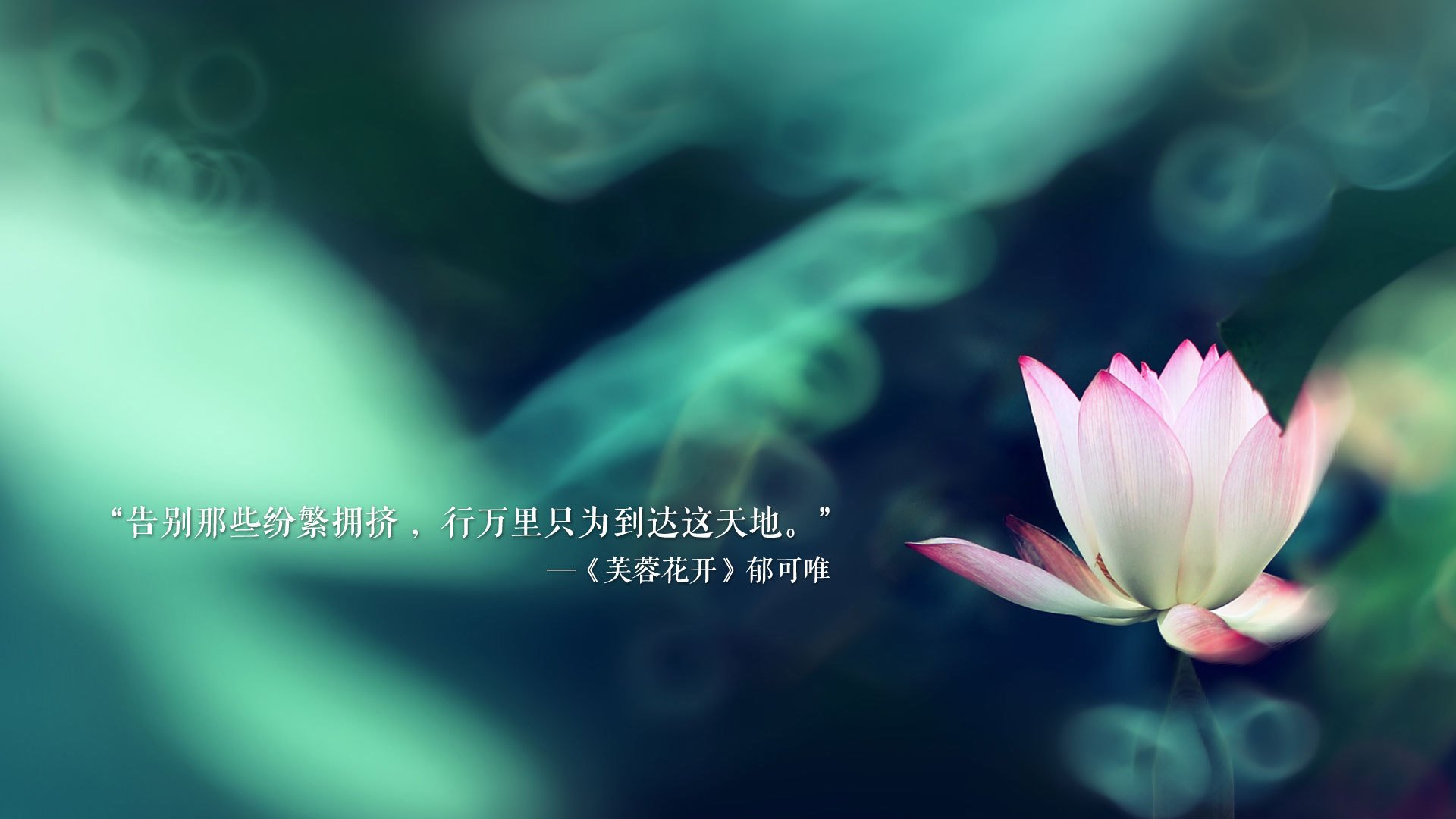 随机转会传闻：哪个球队准备大动作？，哪个球队会赢