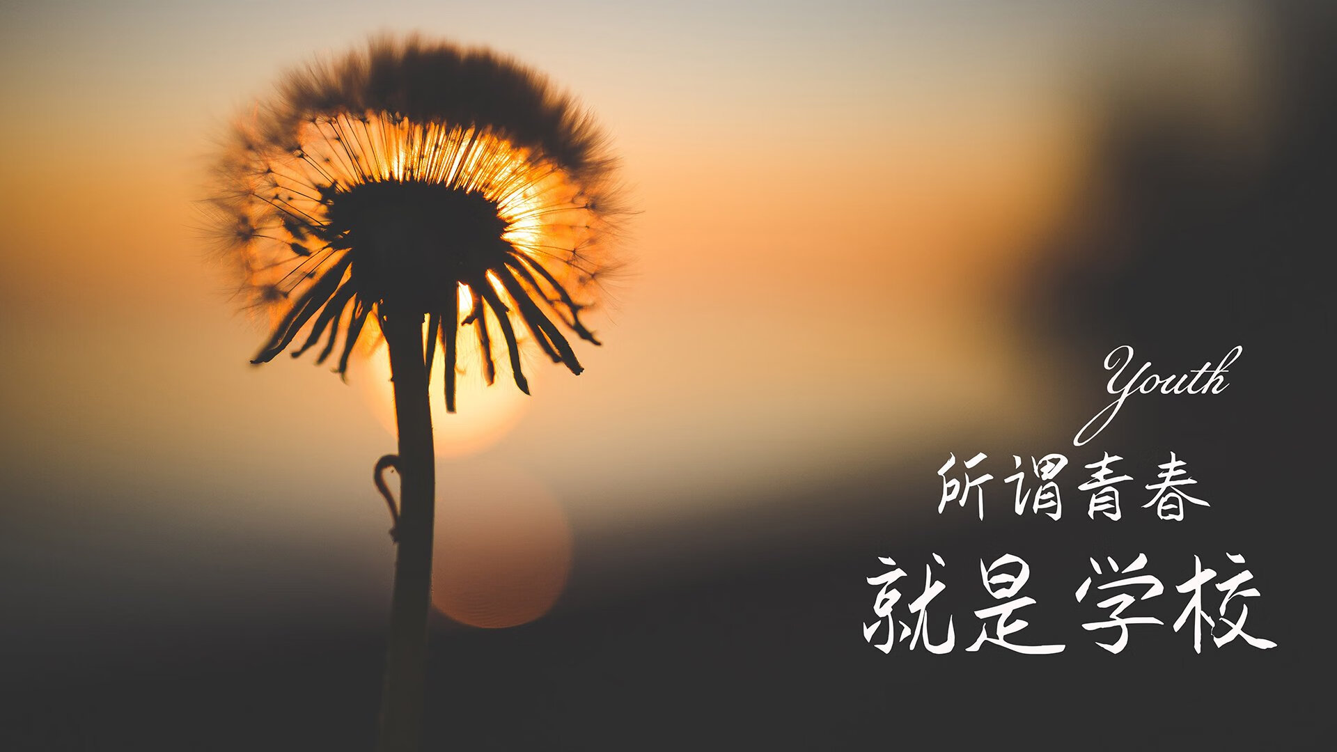 中国青少年篮球推广策略及校园篮球发展模式探讨，青少年篮球发展现状及对策研究