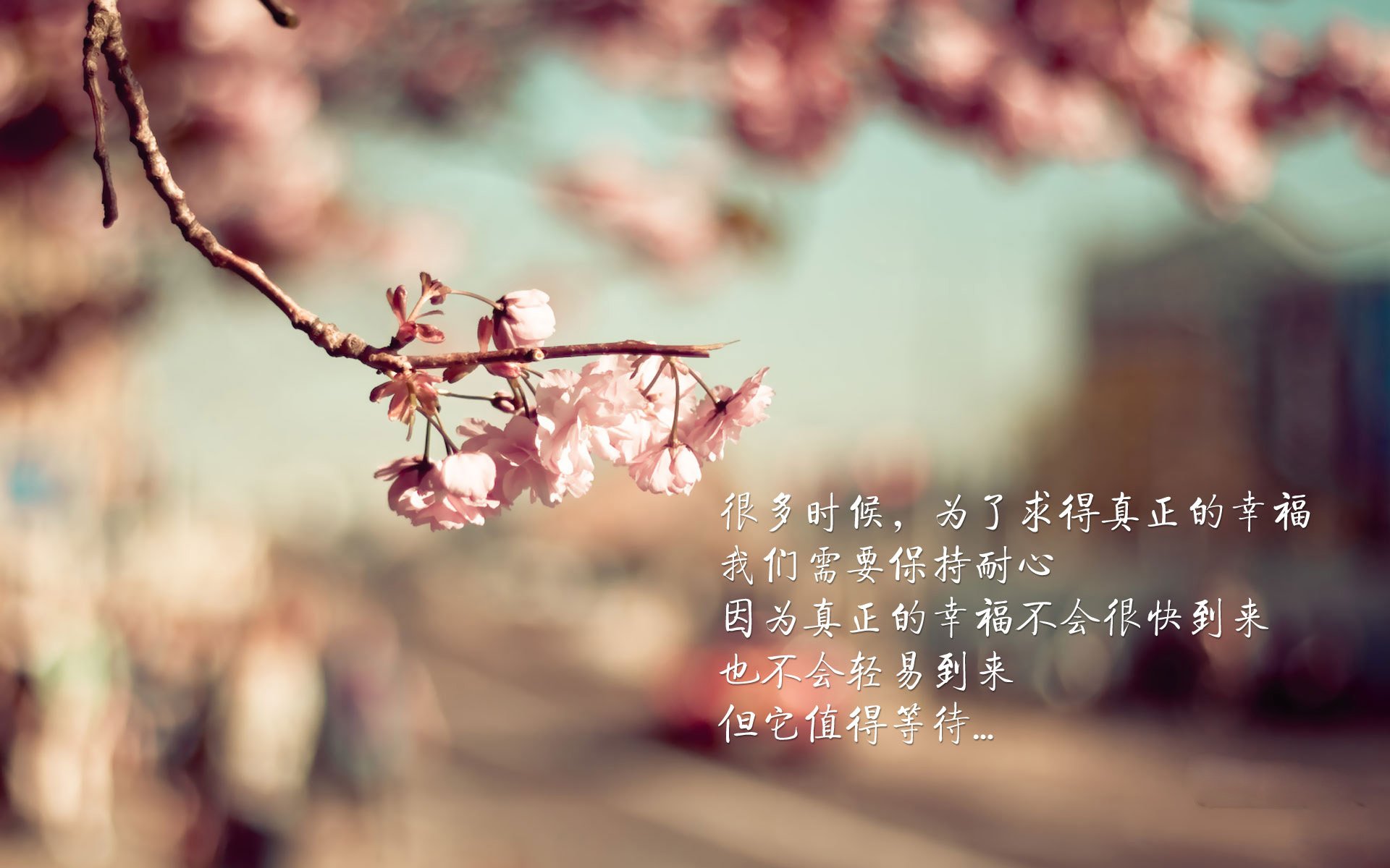 篮球专项体能训练技术创新与实践应用探索，篮球专项体能训练技术创新与实践应用探索