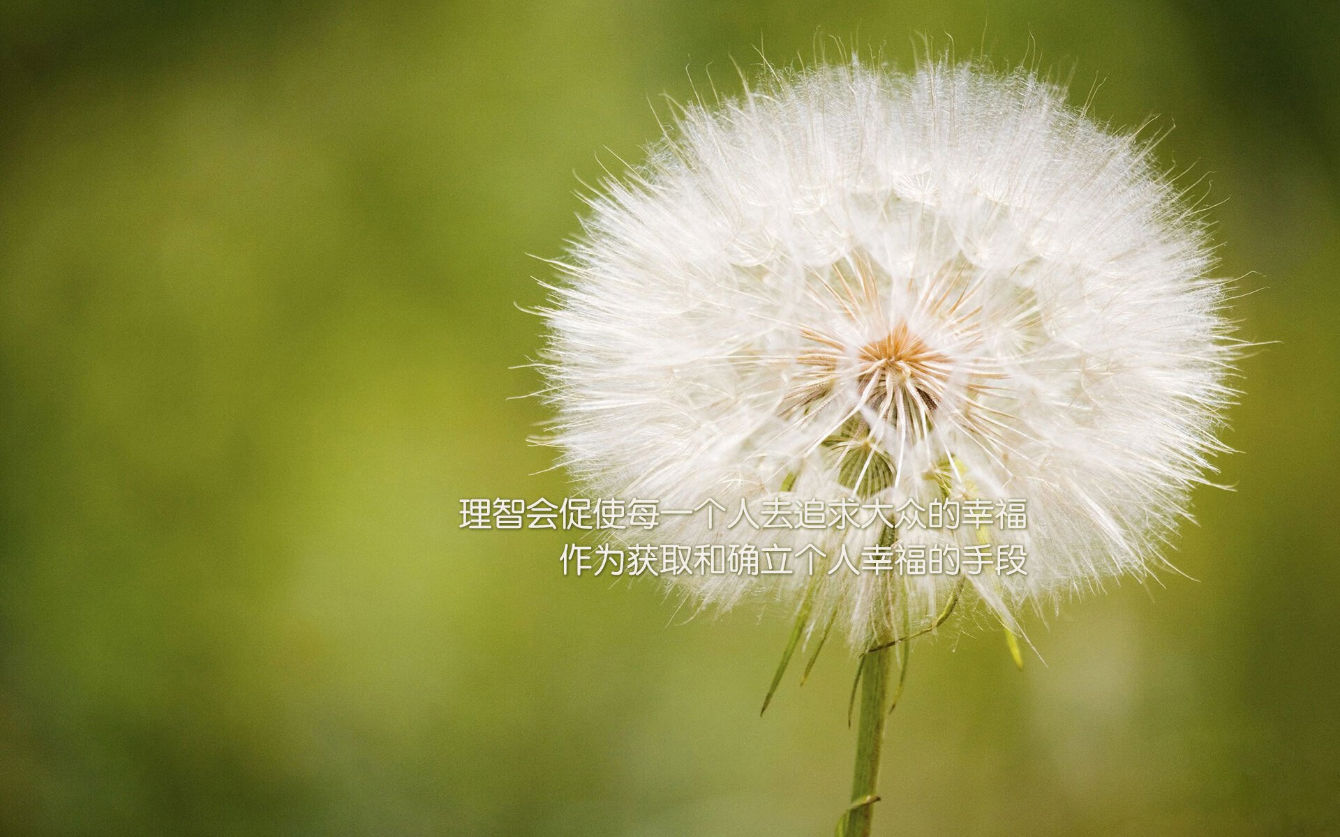 九游下载中心-五大联赛是否正在减少高空球对抗场景，五大联赛是否正在减少高空球对抗场景