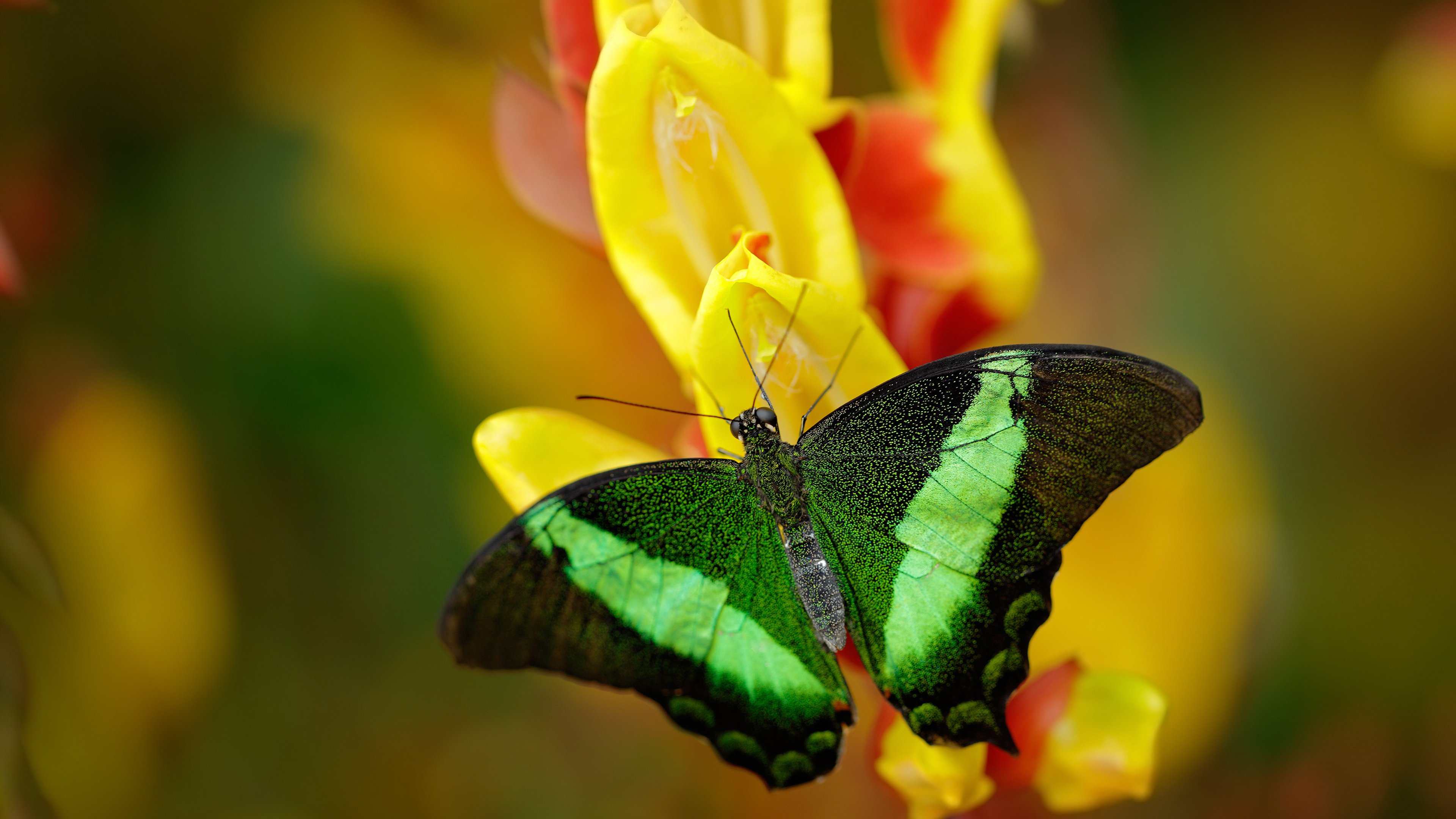 体育社会责任报告发布强调可持续发展，社会体育发展简况