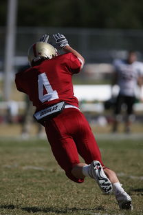 九游娱乐-CBA赛季转会期开放多支球队进行大规模阵容调整，cba转会动态2021