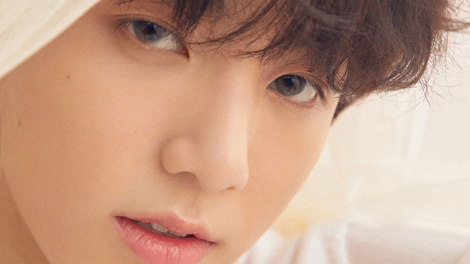 九游下载官网-“埃尔斯·霍斯特：南非羚羊队的守护神”