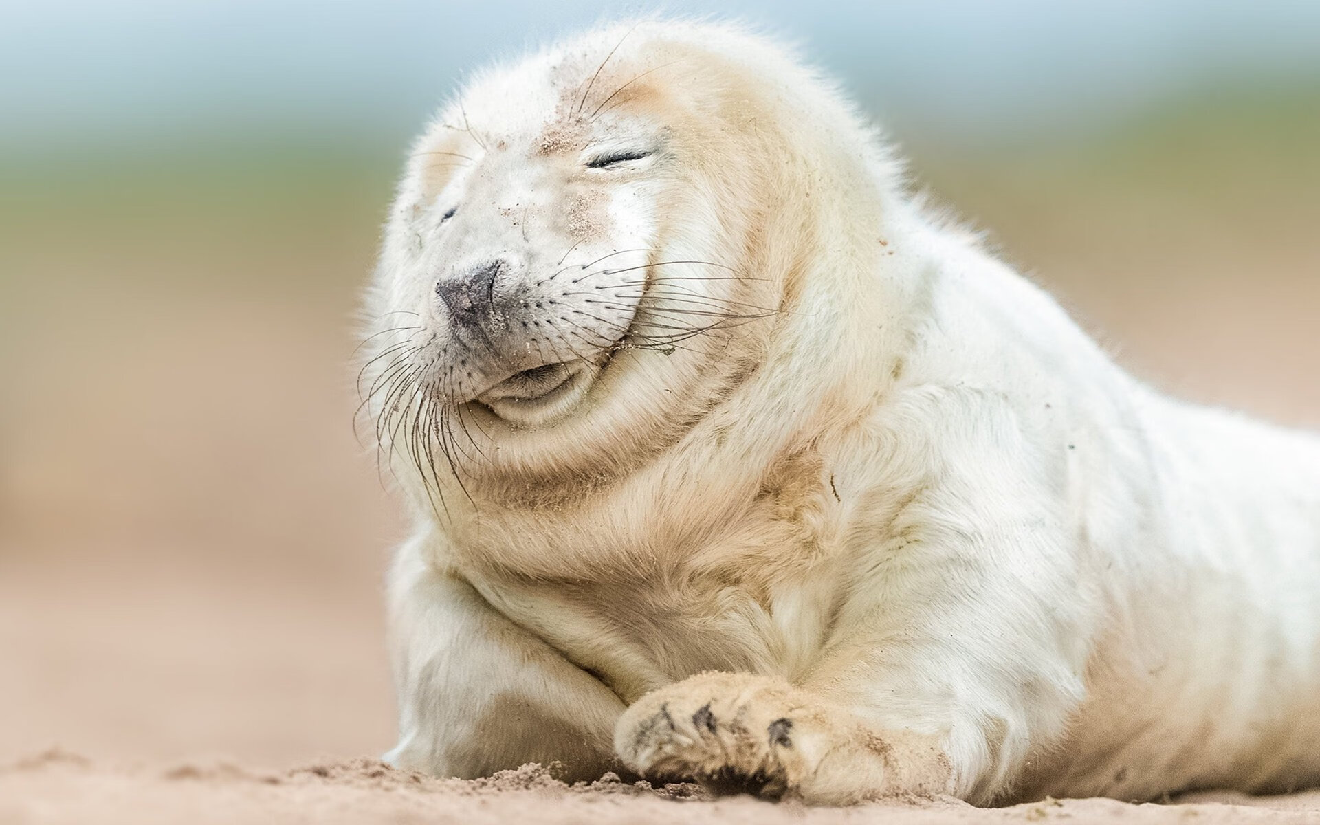 九游网页版官网-世界杯经典合集：每秒都动心！，世界杯经典程度排行