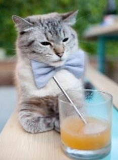 世界杯经典合集：每秒都动心！，世界杯经典程度排行