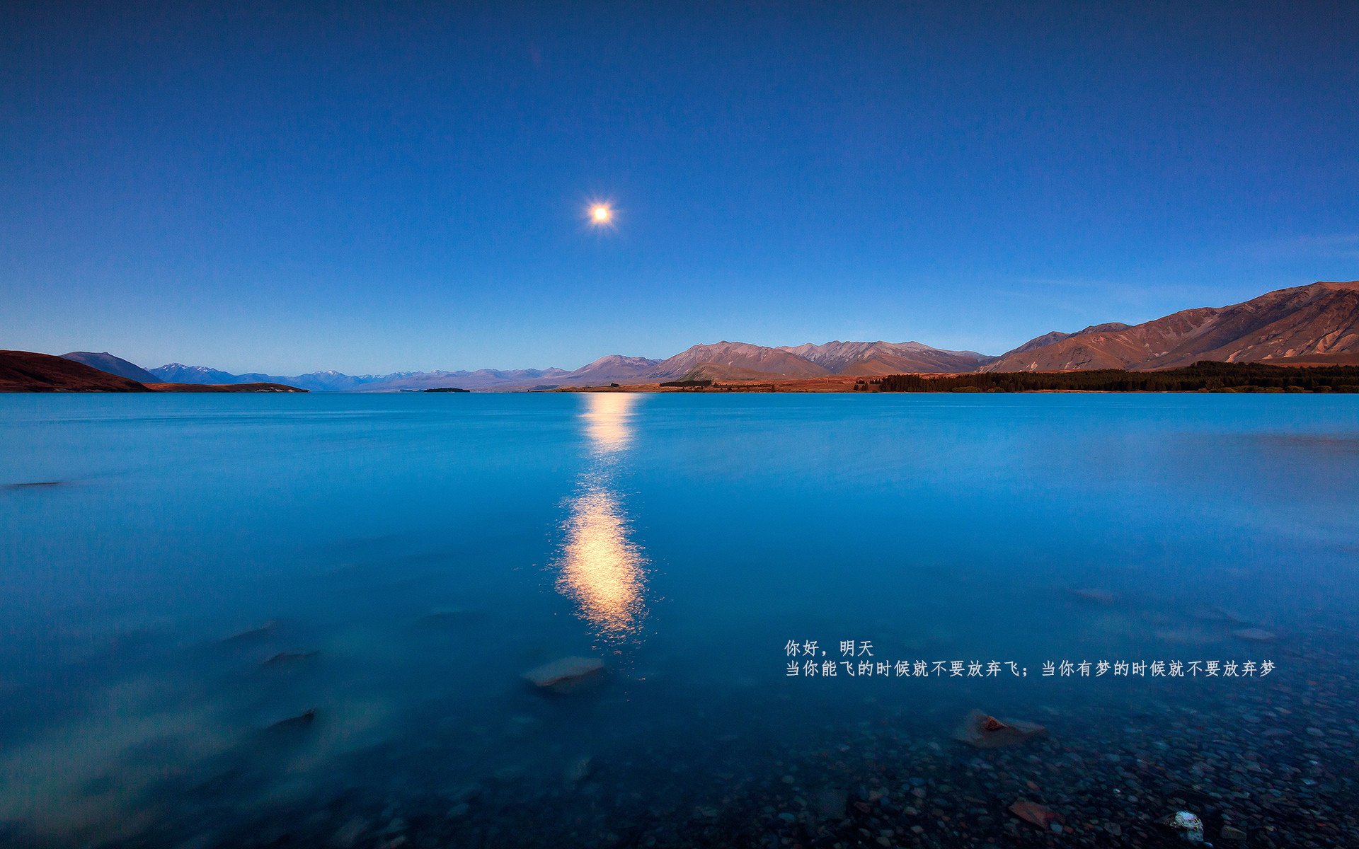 中国队赛后感谢团队支持与鼓励,感谢参赛队员的付出