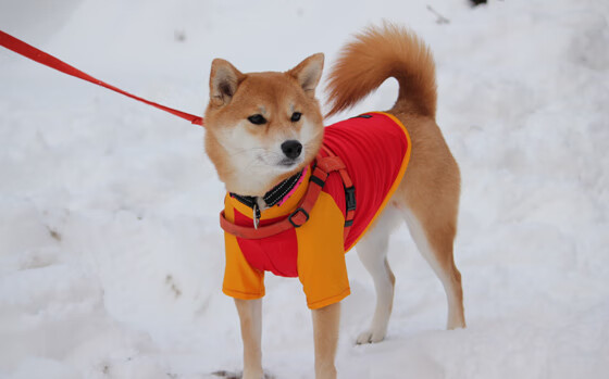 九游APP官网-体育新闻中心激励人心故事，体育新闻分享