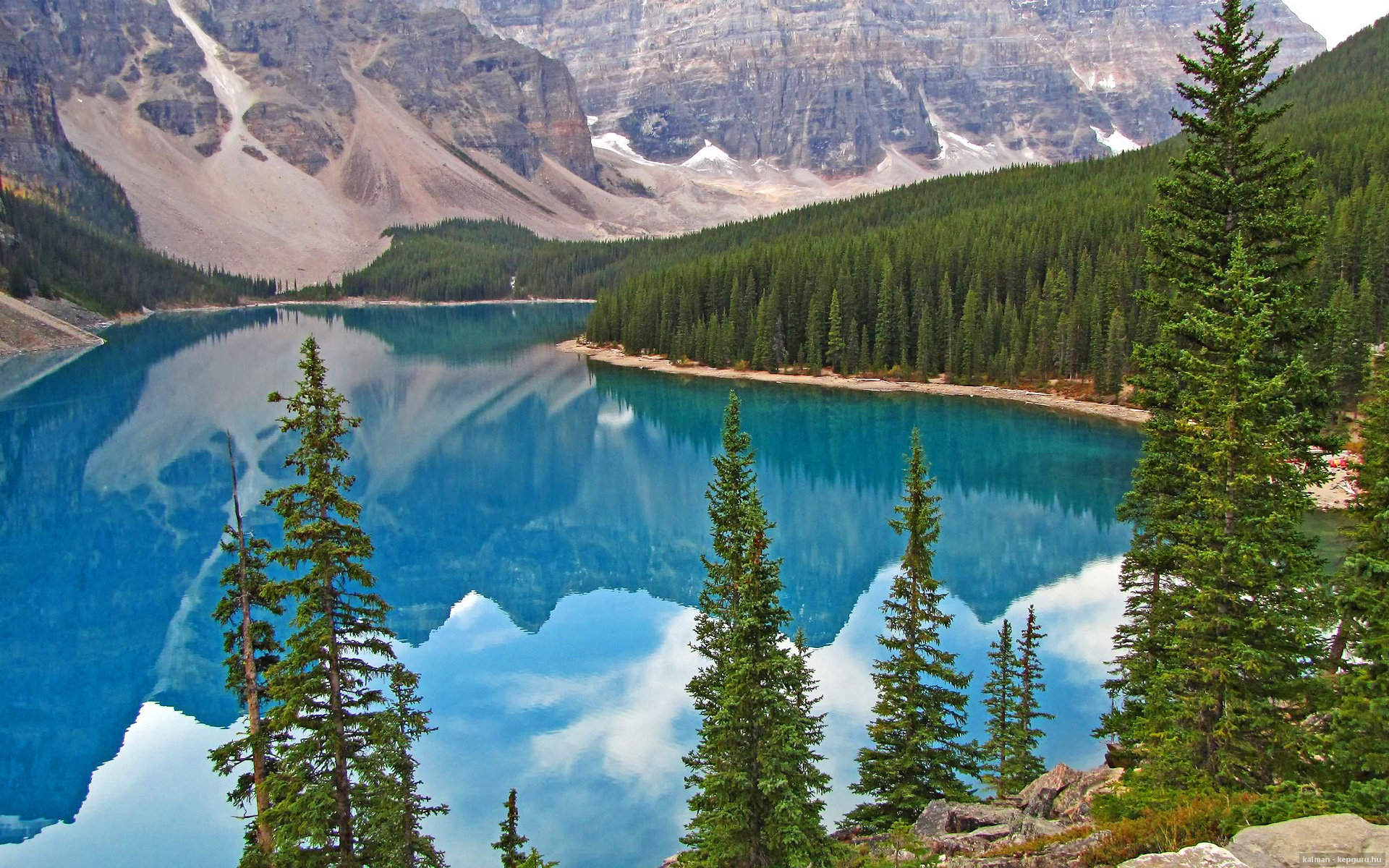 奋战200米 李冰洁诠释竞技精神，李冰洁800自夺冠