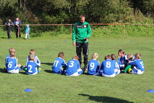 九游下载官网-欧洲杯总冠军之争：战术智慧与个人能力的较量，欧洲杯冠军百度百科