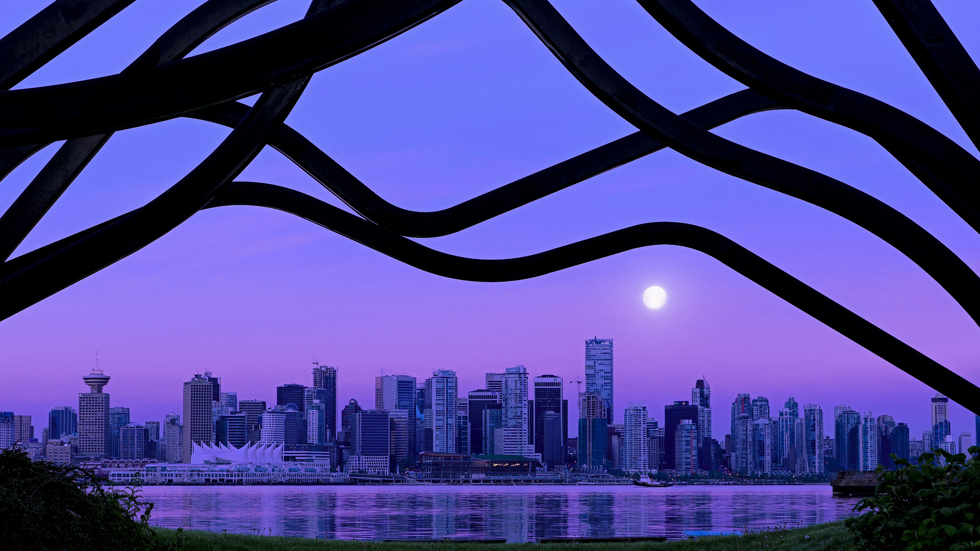 JIU YOU GAME-自由泳荷兰女将节奏把握精准，自由泳名将