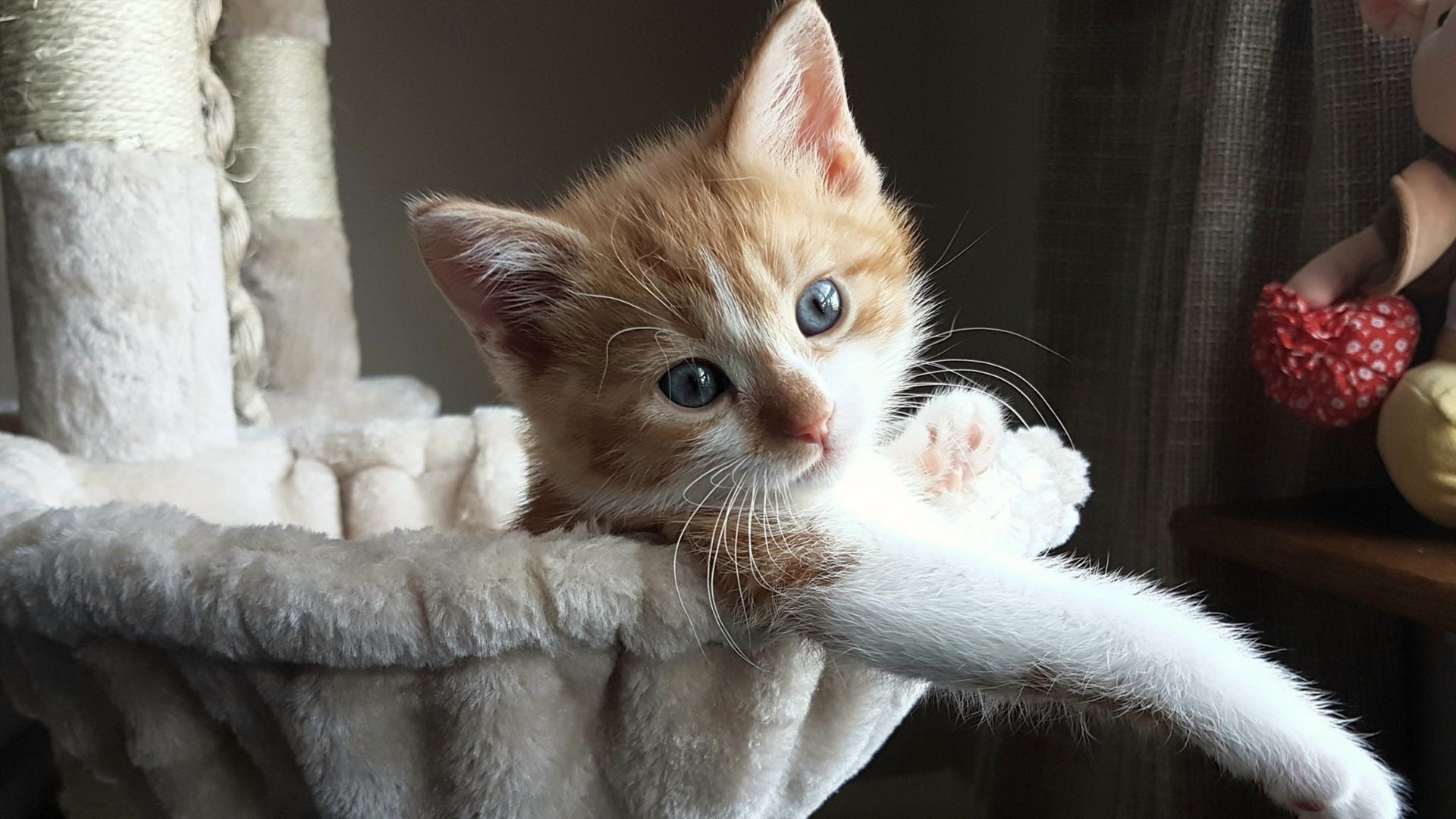 九游娱乐(jiuyou)官网-诺埃·庞蒂与强敌同台争锋，庞德诺威