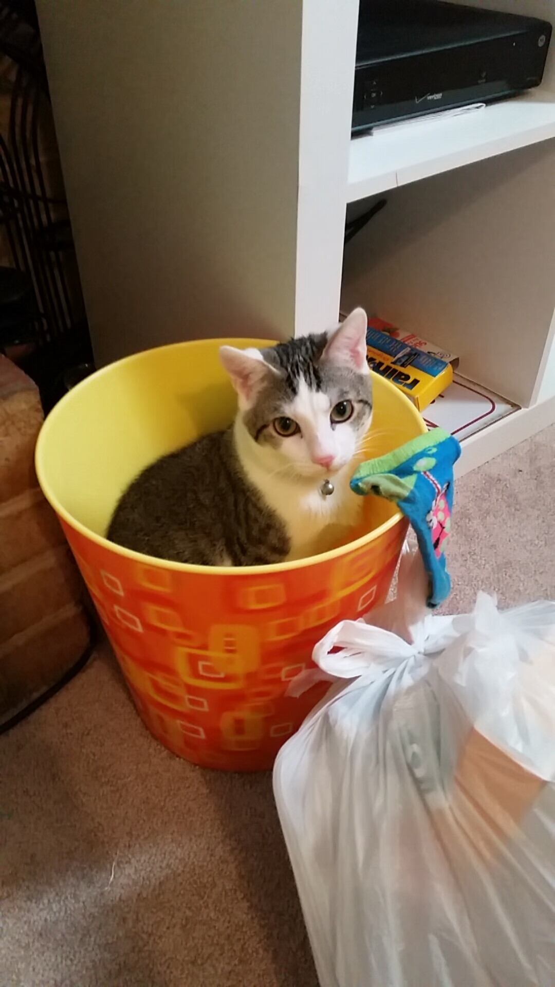 九游娱乐官网 (JIUYOU)-足球明星签署年度公益合约，推动青少年体育教育，足球明星签约价格