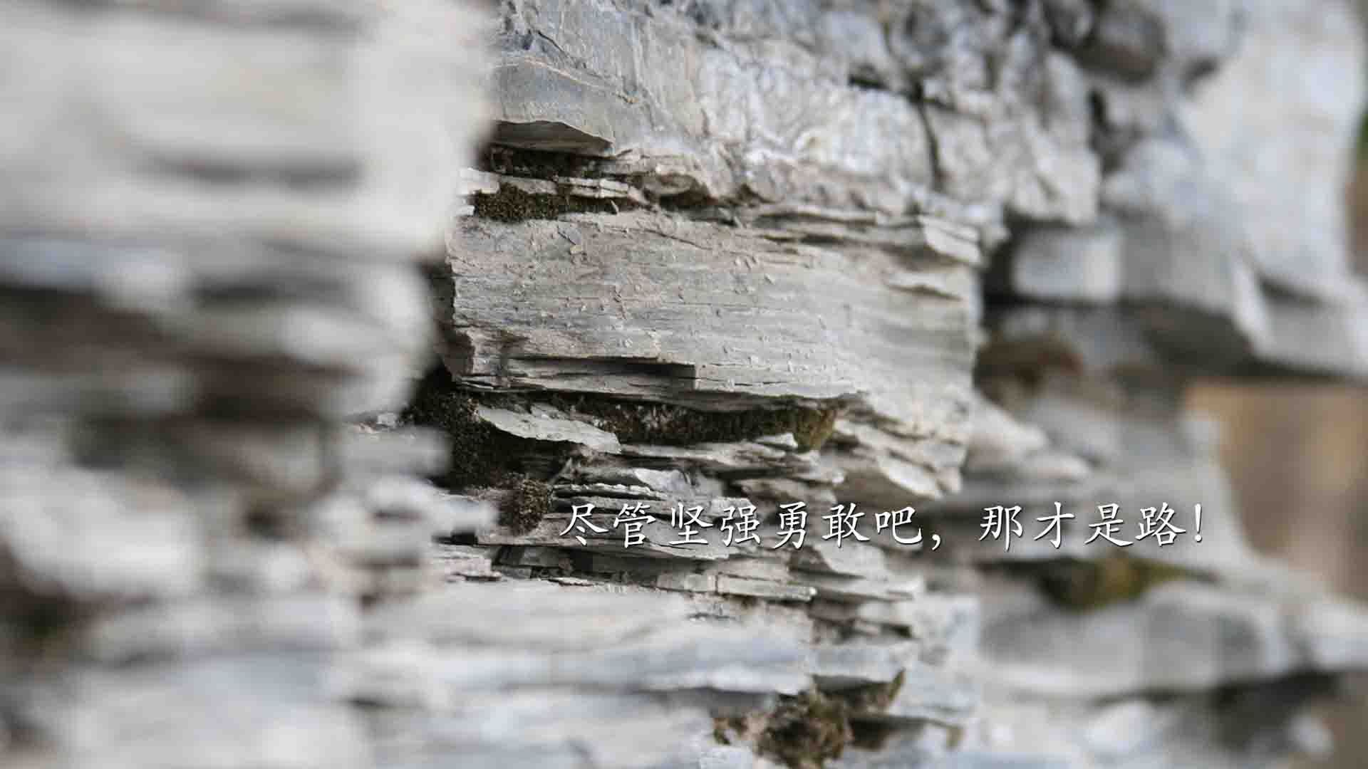 足球明星签署年度公益合约，推动青少年体育教育，足球明星签约价格