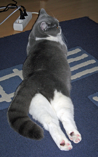 九游APP官网-足球运动减缓伤害新研究成果发布，足球运动损伤预防与治疗