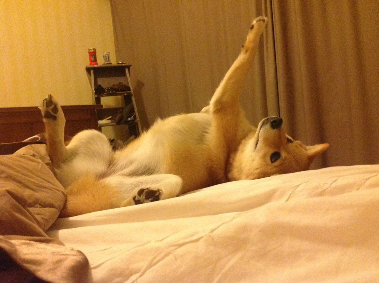 足球教练战术培训提升，足球教练如何做好训练工作